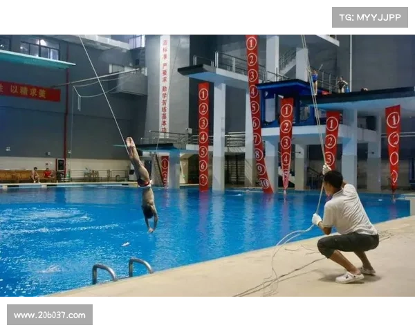 2017 跳水 赛事_2017跳水全运会